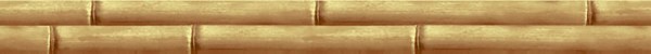 altacera/BWU41BMB004