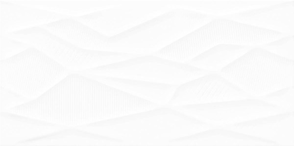 altacera/WT9BRI00