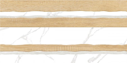 altacera/WT9ELT55_01