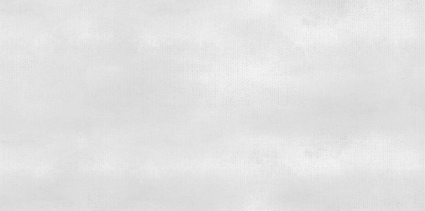 altacera/WT9SHP00_01