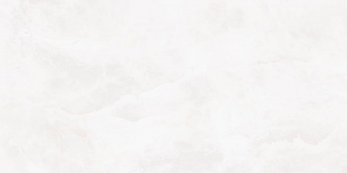 altacera/WT9TRI00_01