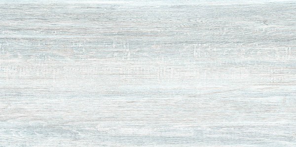 altacera/twu09wod006
