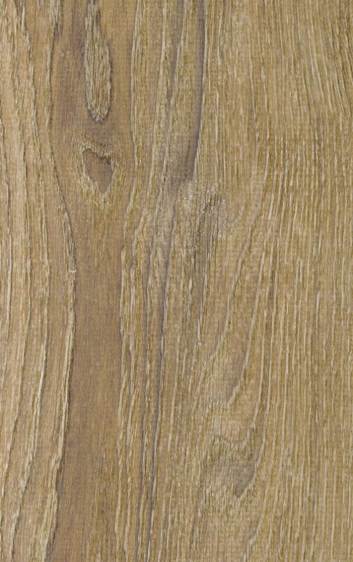 bspol/epi_solid_medium_dub_balearskiy_622