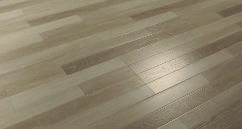 bspol/imperial_evolution_6140