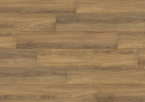 bspol/wineo_500_large_v2_la061lv2_dub_virdzhiniya