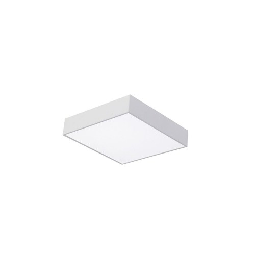 favourite/2066-24C