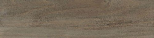 mkplitka/bianchi-brown-pg-01_1545309801