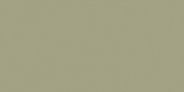 mkplitka/rw-061-60x120_1524462434
